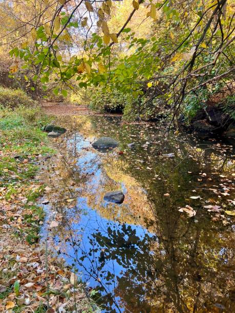 istock Autumnal colors parkland 2183113498