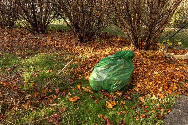 Tidying up the garden for autumn, collecting leaves into a garbage bag, and removing bio-waste from the plot