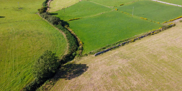 istock Green grass fields, top view. Agricultural landscape. 2183117545