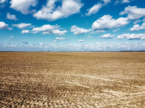 istock Beautiful blue sky over farm fields on a sunny day, aerial view. Landscape. 2183117811