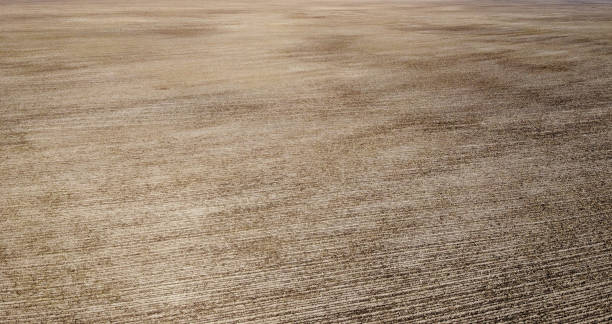 An aerial scene captures the dynamic interplay between a plowed farm field and the dark black soil.
