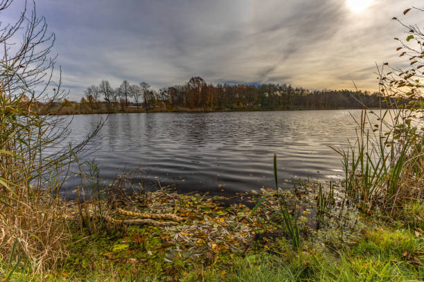 Landscape by the reservoir in Blachownia, a walk around the lake in autumn