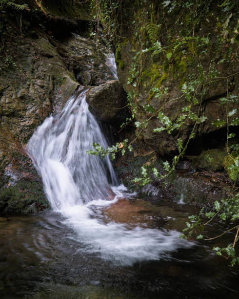 istock A small, scenic waterfall cascades over moss-covered rocks in a lush forest setting. 2183122835