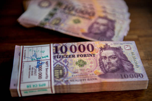 istock Stack of the 10000 forint banknotes. Stacks of 10000 forint notes tied with paper bands. 2183123736
