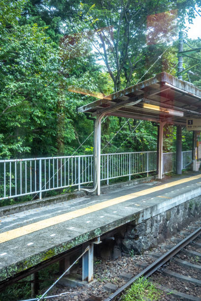 Hakone, Japan, 09 19 2024: Empty train platform surrounded by vibrant green forest, evoking a sense of tranquility and solitude