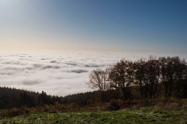 View from the summit of Mont Beuvray in Burgundy, France in Autumn with fog and sunshine