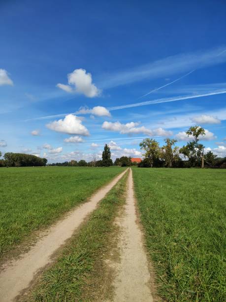istock green meadow and road going into the distance 2183135232
