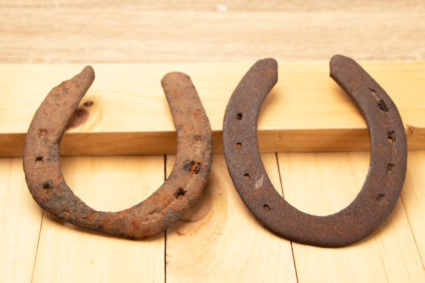 A close-up of a weathered horseshoe mounted on a textured brick wall during sunset. Warm lighting highlights the rustic charm of the scene, providing a perfect background or copy space for text overlay.