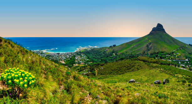 istock Cape Town panorama: Lion's Head from Table Mountain, Clifton below, South Africa 2183141553