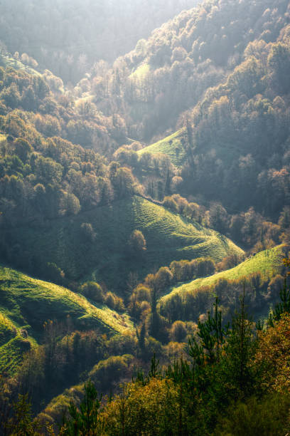 Delicate autumn light in a valley of green hills and deciduous forests in As Nogais Lugo Galicia