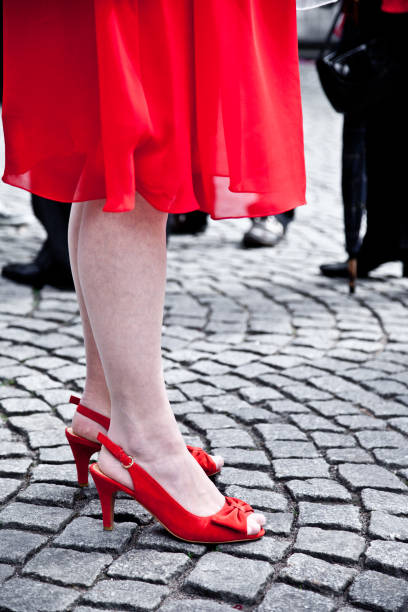 fashion high heel shoes  on a background