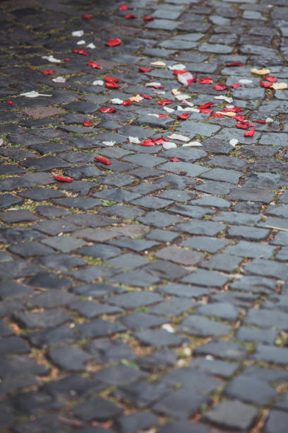 istock Flower petals scattered on cobblestone pavement in a quaint outdoor setting during spring 2183143948