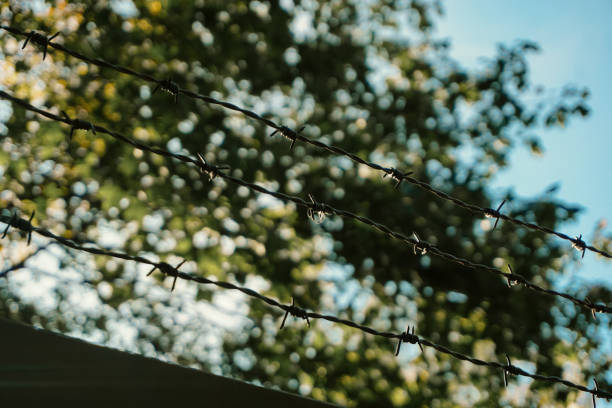 Close-up of barbed wire with trees in the background