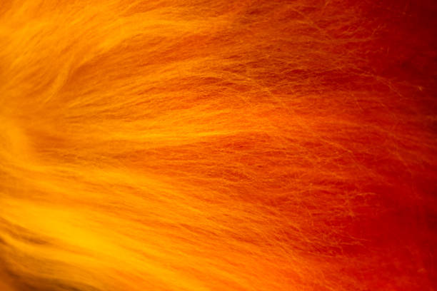 istock Vibrant gradient wool texture in striking. Felting process. Laying out the wool fibers. Perfect for backgrounds, artistic compositions. Copy space 2183147528