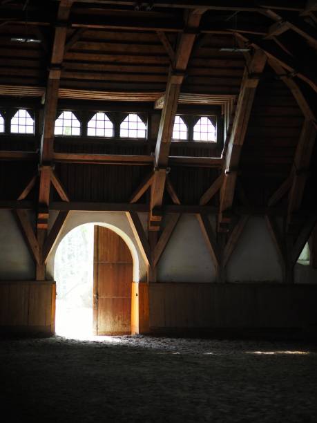 Sunlight streams through an arch-shaped doorway into a rustic wooden barn with arched beams, creating a serene and tranquil scene of light and shadow interplay.