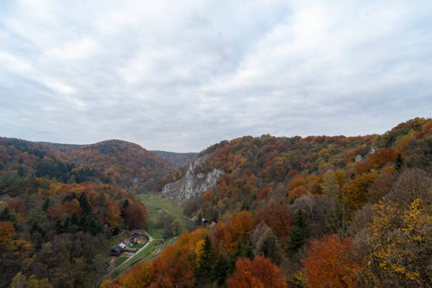 The autumn landscape captures a vibrant, colorful valley nestled between rocky cliffs. The view shows a winding path cutting through a forest blanketed in shades of yellow, orange, and red, typical of autumn foliage. Tall pine and deciduous trees stand on both sides of the valley, contrasting with the rugged, grey rock formations. A small building, likely a cabin, is nestled in the distance, surrounded by lush green fields.