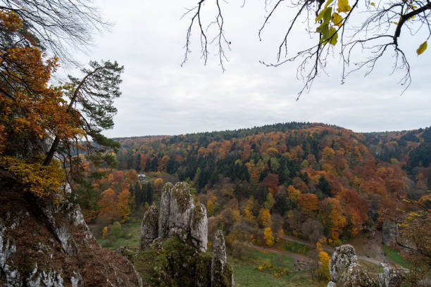 The autumn scene captures a vibrant forest framed by overhanging tree branches with leaves in shades of orange, yellow, and green. The foreground features rugged rock formations covered with patches of moss, adding texture to the landscape. Beyond the rocks, the dense forest stretches across rolling hills, displaying a tapestry of autumn colors under a cloudy sky. In the distance, a small group of hikers can be seen along a trail, adding scale and a sense of exploration to the natural scenery.