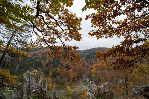 The autumn scene captures a vibrant forest framed by overhanging tree branches with leaves in shades of orange, yellow, and green. The foreground features rugged rock formations covered with patches of moss, adding texture to the landscape. Beyond the rocks, the dense forest stretches across rolling hills, displaying a tapestry of autumn colors under a cloudy sky. In the distance, a small group of hikers can be seen along a trail, adding scale and a sense of exploration to the natural scenery.