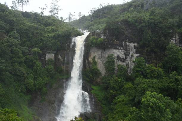 istock Majestic waterfall in lush tropical forest. 2183152196