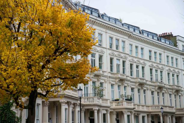 istock Autumn colored tree and white Kensington terraced houses 2183152702