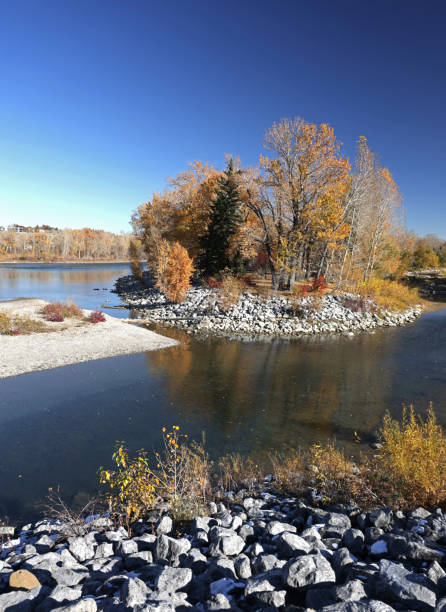 Looking northeast from Eau Claire Park to the western tip of Prince's Island Park. The Bow River flows past Prince's Island. Sunny afternoon with bright fall foliage.