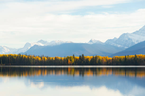Scenic autumn view on the mountain lake with yellow and green trees, and blue calm waters in the Rocky mountains. Pyramid lake, Jasper national park, Alberta, Canada