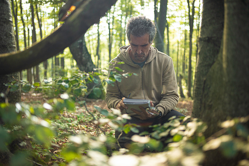 Ecologist Example Forest Ecology Fieldwork Ecologist Studies Forest Ecosystem Stock Photo ...