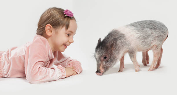 Young woman happily holding a pink plush toy she won at a fair game, enjoying the festive atmosphere