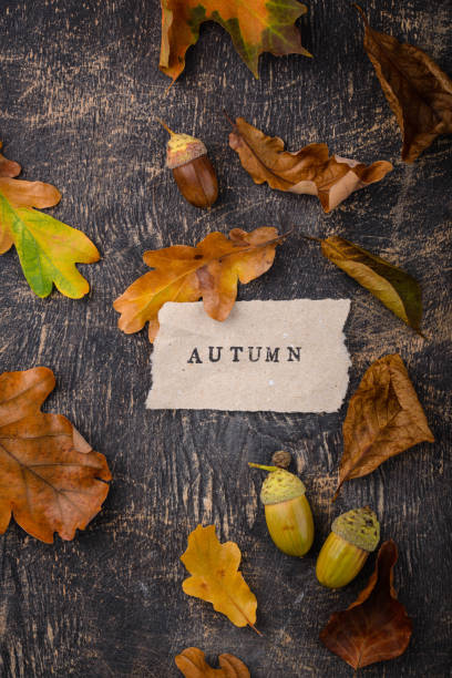 istock Autumn background with dry leaves. 2183164618