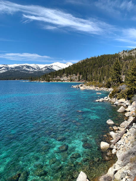 Crystal Clear Waters and Pine Forest with Mountain Views at Lake Tahoe