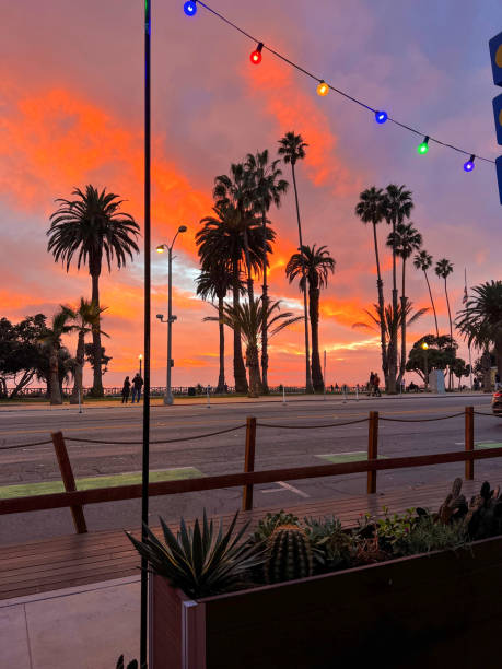 Orange and Purple Sunset through Palm Trees during Christmas. Tall palm trees stand silhouetted against a vivid sunset sky of intense oranges and pinks. In the foreground, a line of colorful string lights adds a festive touch, contrasting with the natural beauty of the scene. The ocean and people can be seen in the distance, capturing a relaxed, coastal atmosphere at dusk.