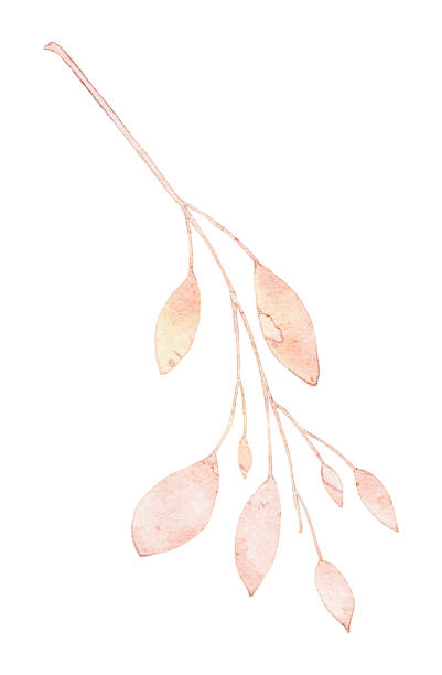 istock A painting of an orange leaf plant 2183186118