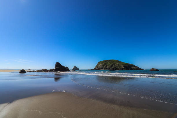 istock Southern Oregon Coast - March 2183202586
