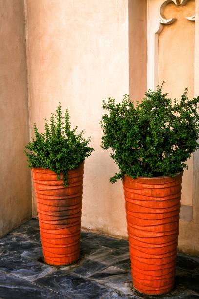 istock Orange planters with green plants against a textured wall. 2183208983