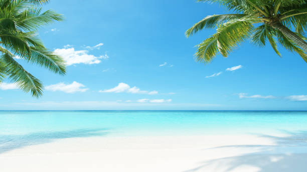 istock Tropical paradise beach scene for background or wallpaper 2183214061