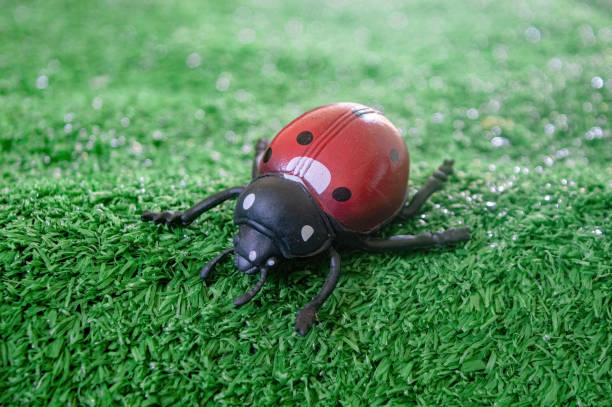 A close up of a toy insect resembling a ladybug on artificial grass. Ideal for educational materials, children s toys, or nature themed decorations