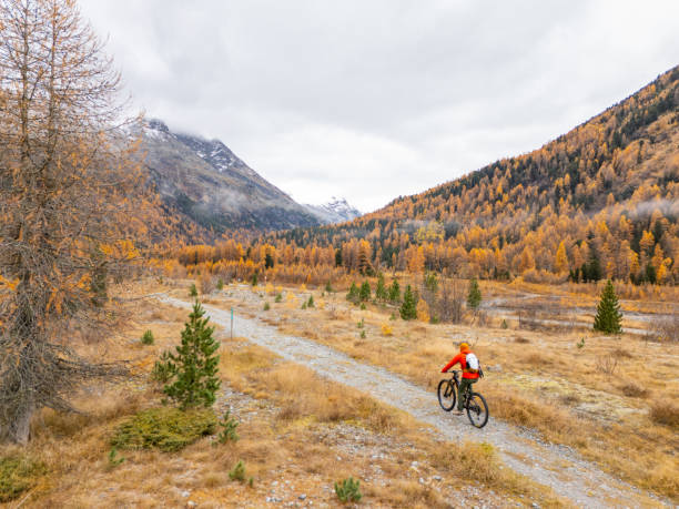 istock Cyclist on Mountain Path in Serene Autumn Landscape 2183222366