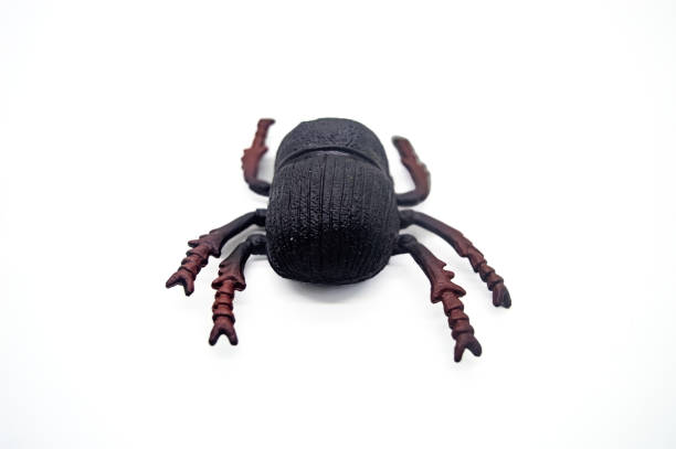 istock Isolated close up of a realistic black and brown beetle model on a white background, showcasing detailed textures and segmented legs 2183222447