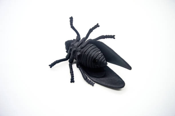 istock Black plastic insect model isolated on white background. Detailed and realistic design, perfect for educational purposes or decoration 2183223037