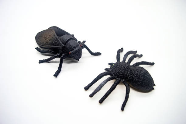 Realistic black plastic toy insects isolated on white background, featuring a spider and a beetle, perfect for educational or Halloween themed projects