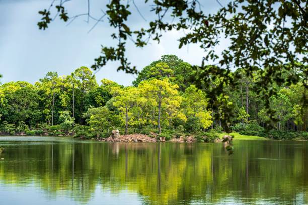 istock Serene lake with lush green trees and reflections 2183224616