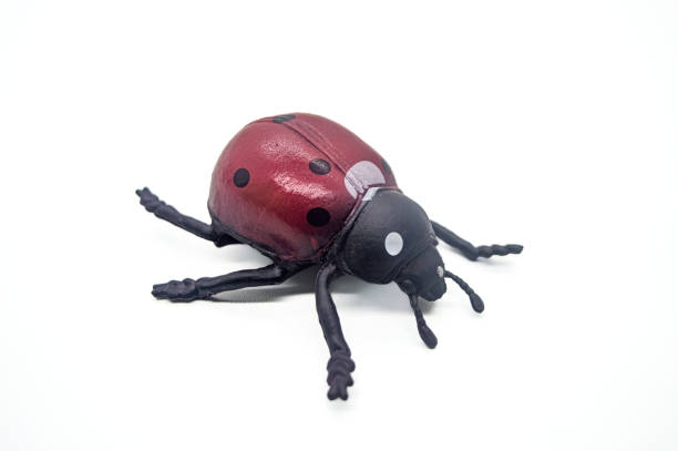 istock Realistic toy ladybug isolated on white background. Detailed red and black design with six legs and antennae 2183224695