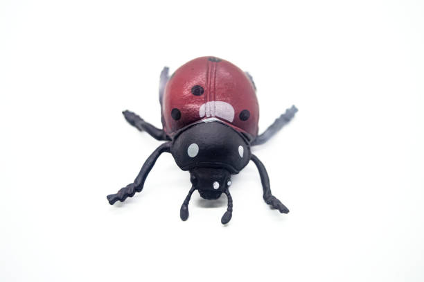 istock Realistic toy ladybug isolated on white background. Detailed red and black design with six legs and antennae 2183225242