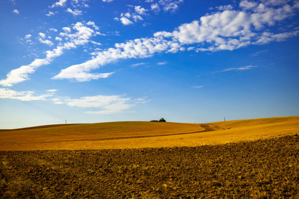 A solitary tractor actively plows through a vast expanse of farmland, readying the soil beneath a clear blue sky.