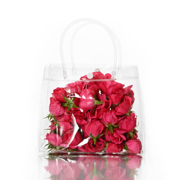 Transparent bag with beautiful roses on white background