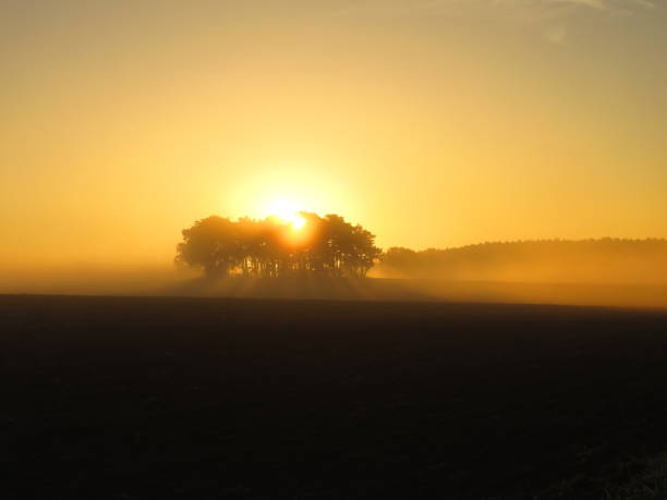 Sun in the fog