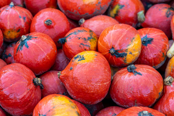 istock Beautiful orange Halloween pumpkins on a pile 2183234505