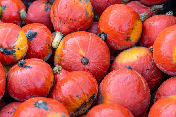 istock Beautiful orange Halloween pumpkins on a pile 2183234578