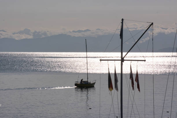 istock Lake Constance in the morning light 2183234727