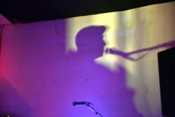 Shadow of vocalist singer head and microphone on music pub wall